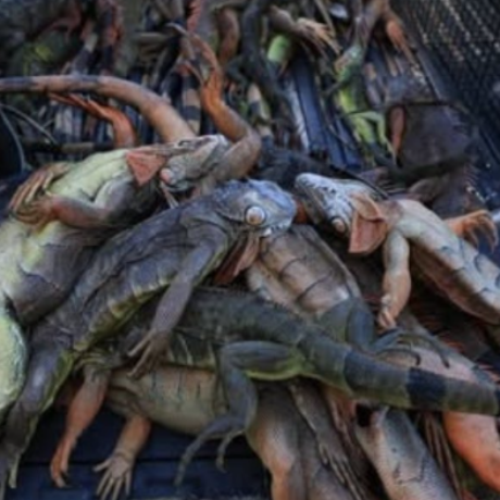 Χωρίς τίτλο