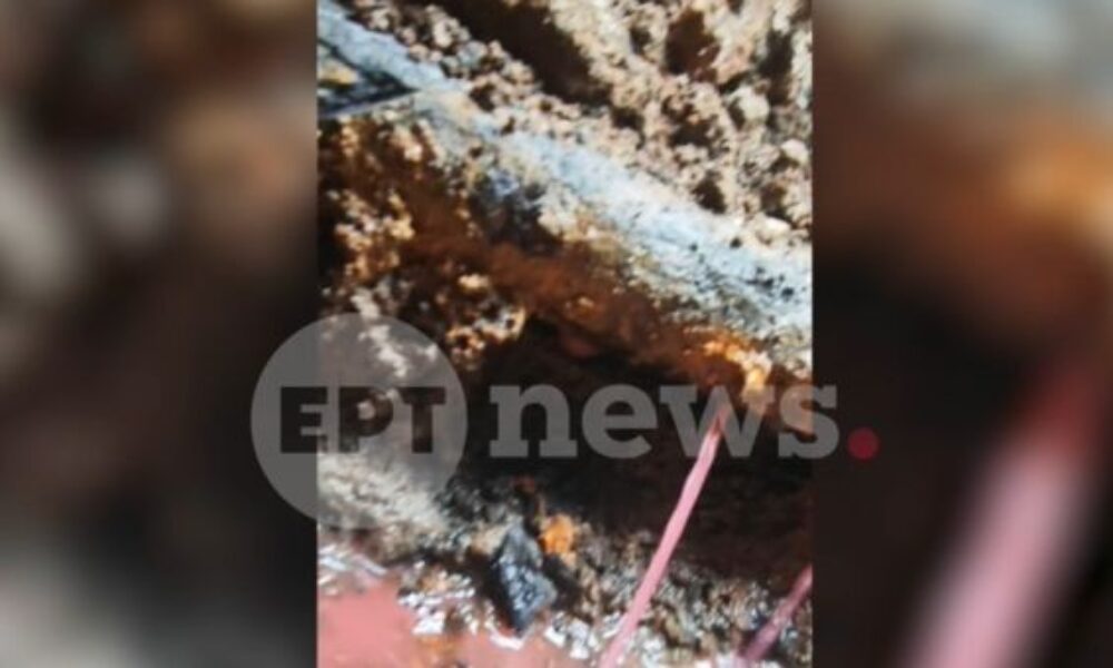 720776bf-violanta-ntokoumento