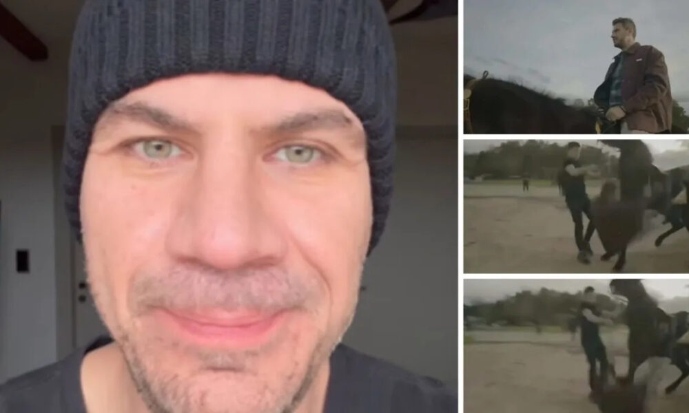 atychima-gia-ton-aki-petretziki-epese-apo-alogo