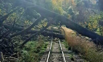 fa95b501-kalavryta-odontotos-diakopi-1-1024×614-1