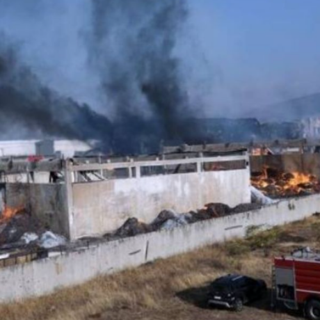 Χωρίς τίτλο