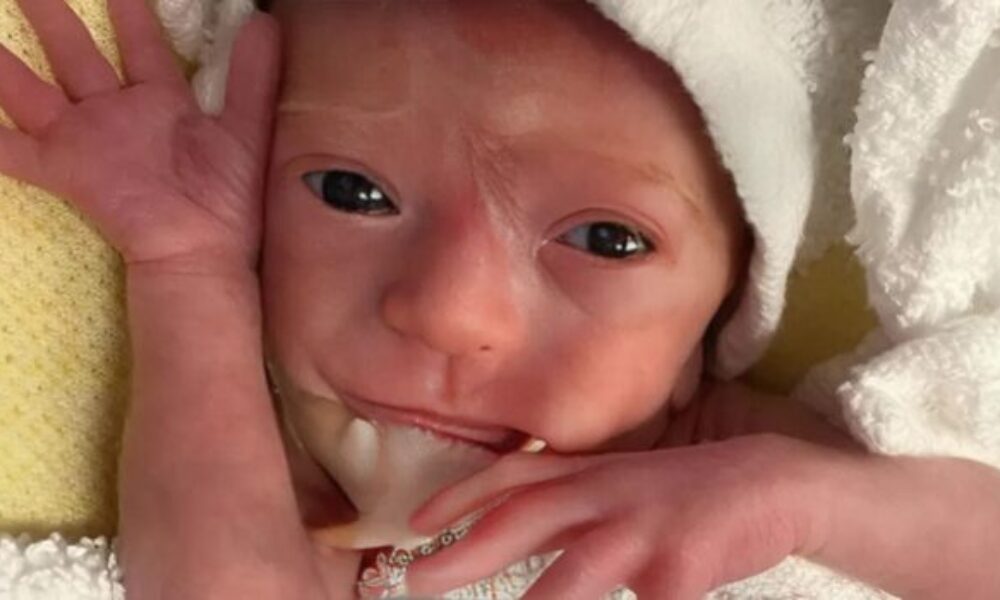 snapedit_1762432967856