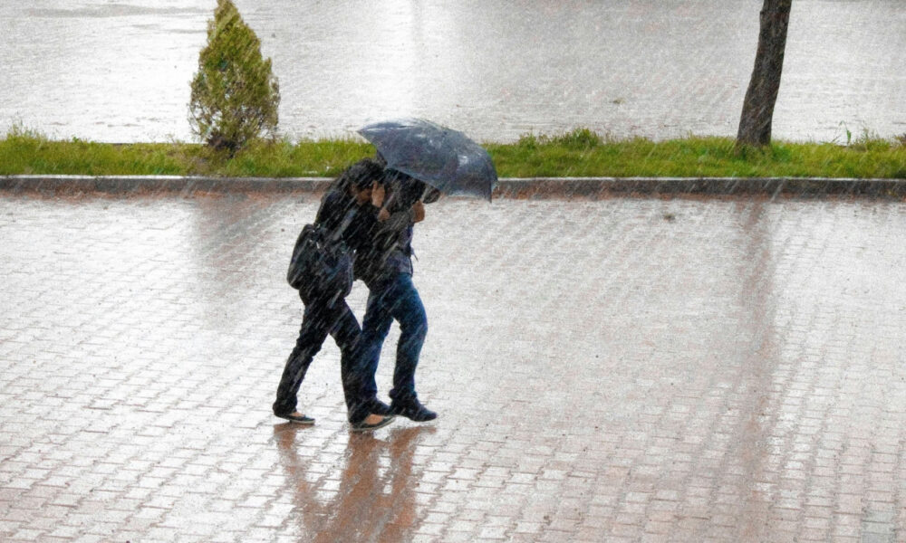 1759573049408-201456919-kakokairia