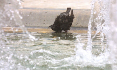 ektakto-matheftike-gia-tin-mikroula-pou-epese-sto