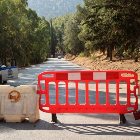 apagorefsi_kikloforias_dasos_int