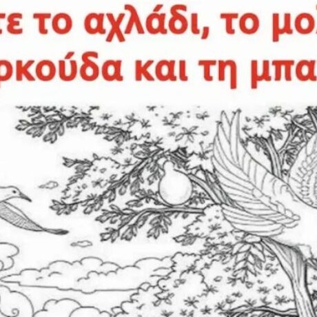 vreite-to-achladi-to-molyvi-tin-1-758×398