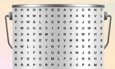 763927a1-bd24-4c6b-a13e-b787a6e7c4d3