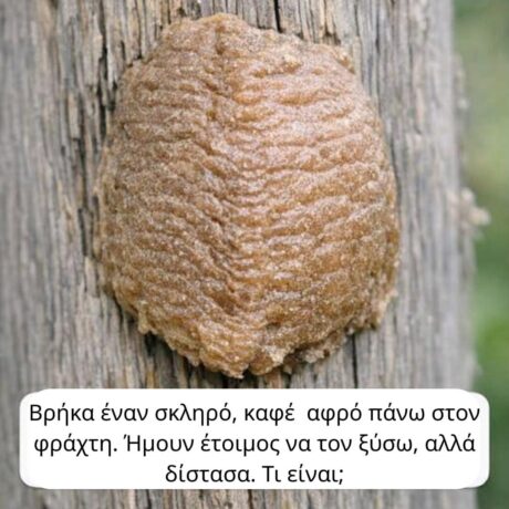 9453b6aa-b8ec-4400-ab87-31eda855745c