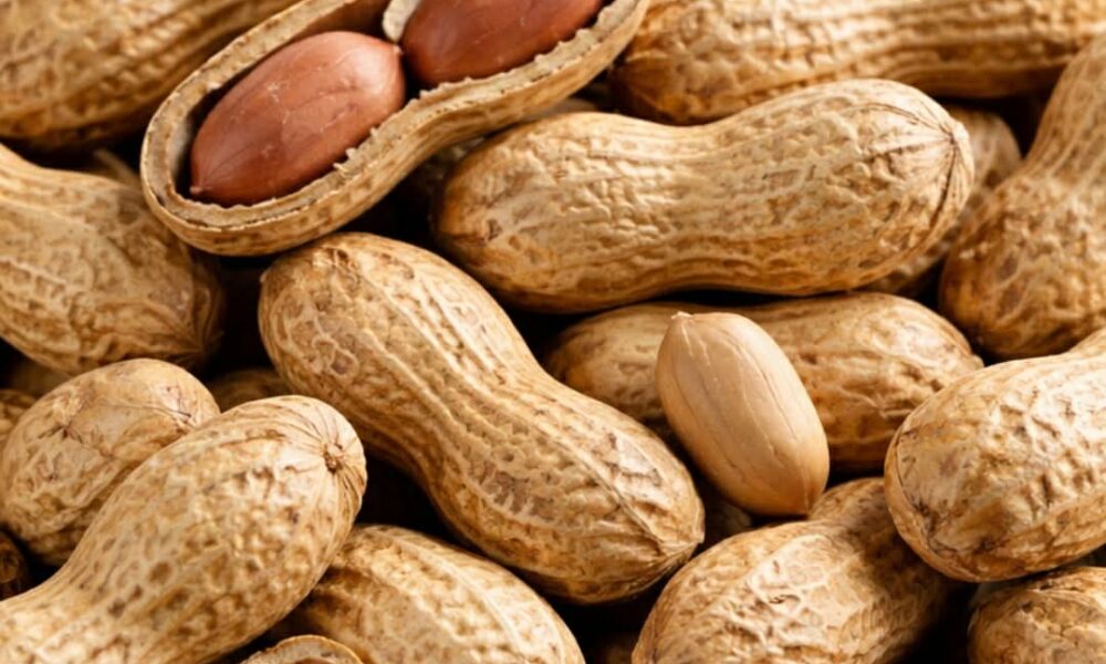 cb5570b2-c839-4d30-af78-03115f11acd5