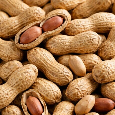 cb5570b2-c839-4d30-af78-03115f11acd5