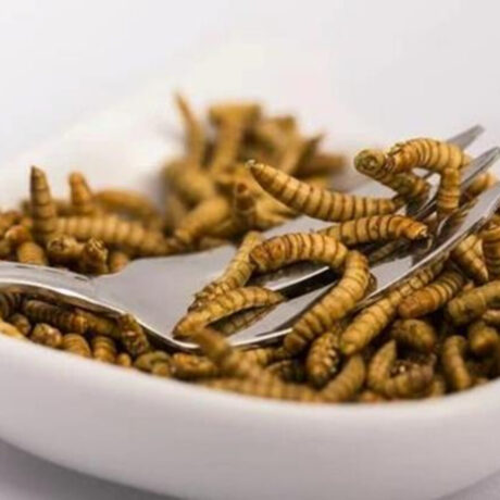 tha-trome-entoma-choris-na-to-xeroume-poia