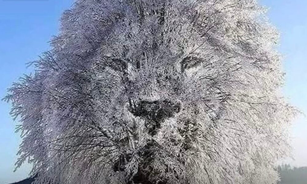 stigmiotypo-othonis-2026-02-18-15.11.01