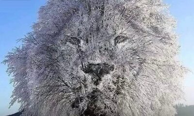 stigmiotypo-othonis-2026-02-18-15.11.01