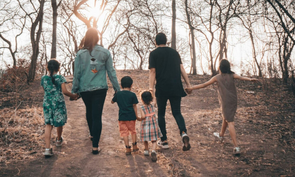 oikogeneia-dimografiko