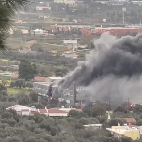 stigmiotypo-othonis-2026-02-22-17.33.27