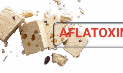 halva-aflatoxin-scaled