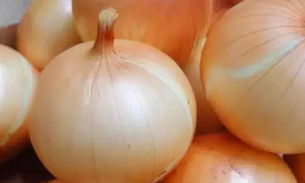 oi-giatroi-apokaluptouv-oti-i-katanalosi-kremmydiou-ppokalei