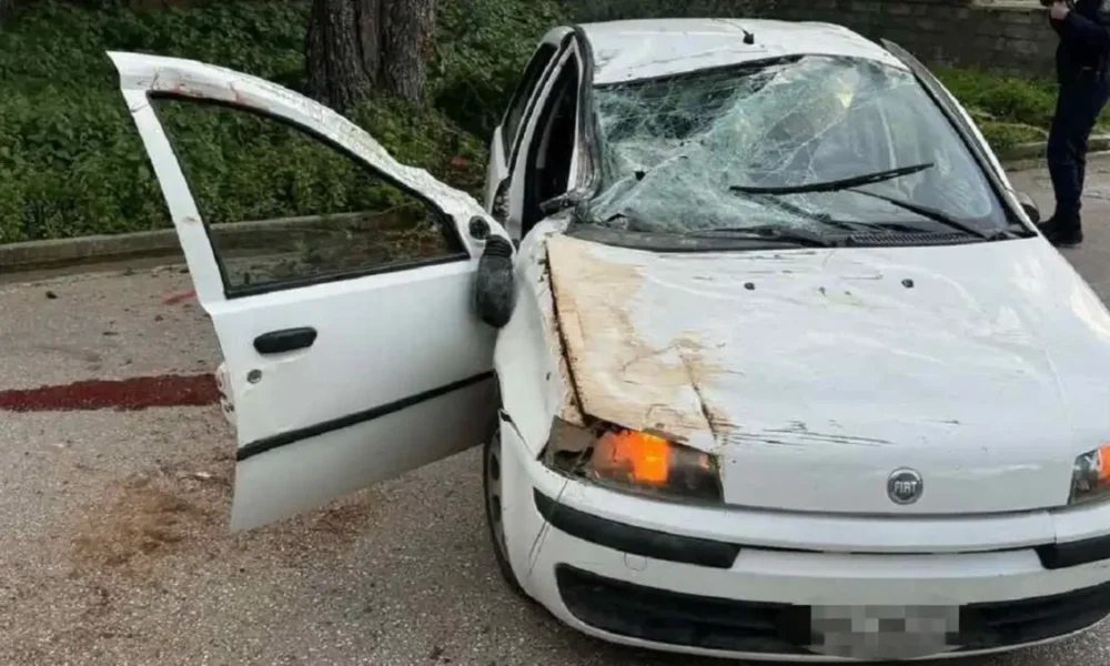 wmremove-transformed