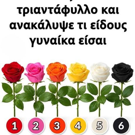 649175027_1467893778041471_7498615066149561181_n