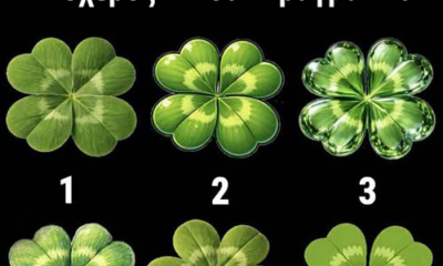 652326791_1495801738605187_3353950589380566051_n