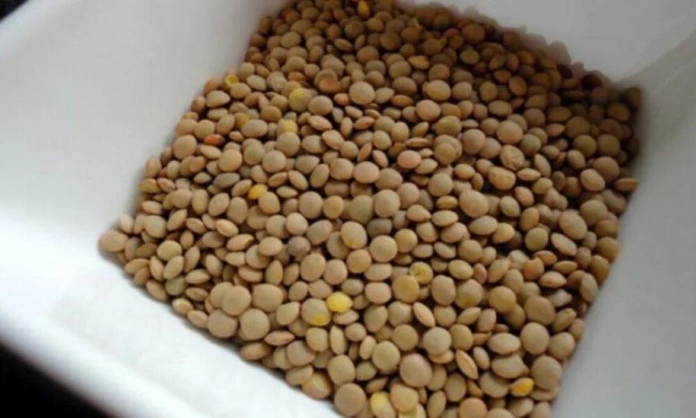 synagermos-stin-elliniki-agora-anakalountai-fakes-epikindynes-gia