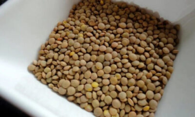 synagermos-stin-elliniki-agora-anakalountai-fakes-epikindynes-gia