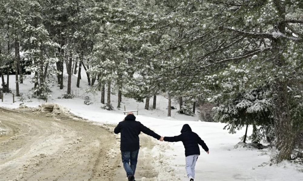 875_62ee4240-b2b7-4322-a918-f260359cb7cb