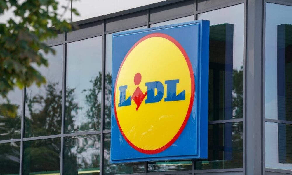 lidl-ektakti-anaklisi-dimofilous-snak-8211-megalos-kindynos