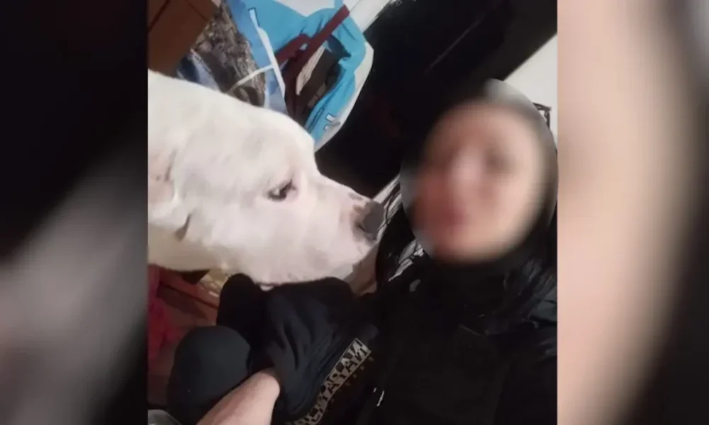 egkuos-kolonos-1200×675-1-1068×601-1