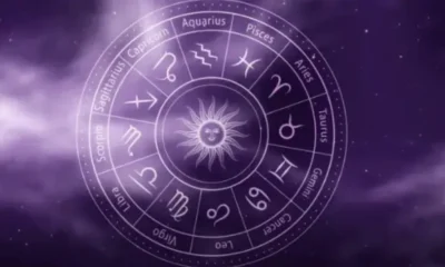 oti-kai-na-kanoun-tha-meinoun-sto-rafi-oi-4-bakourides-tou-zodiakou-pou-den-prokeitai-na-steriosoun-me-anthropo