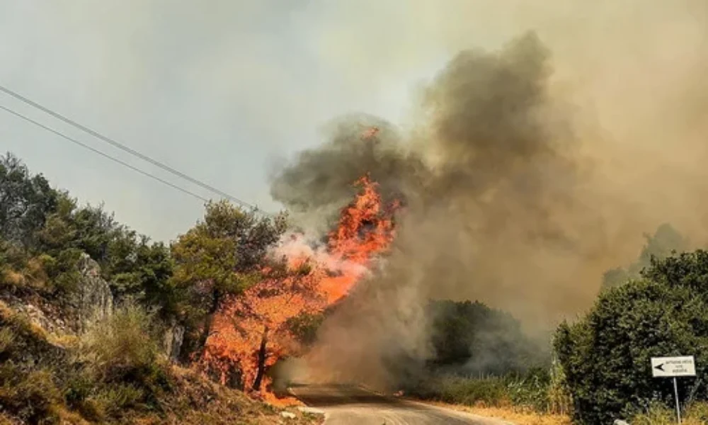 fotia-arxeio (3) (1)