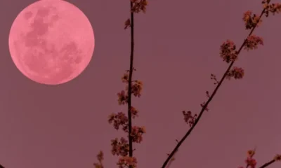 panselinos-stis-2-apriliou-ta-tria-zodia-pou-epireazontai-perissotero-apo-to-roz-fengari