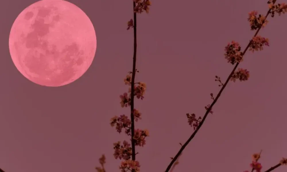 panselinos-stis-2-apriliou-ta-tria-zodia-pou-epireazontai-perissotero-apo-to-roz-fengari