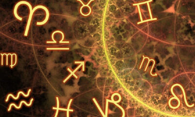 1611-3011-2-1130×667