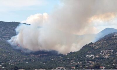 fotia-loutraki-mkt__1_
