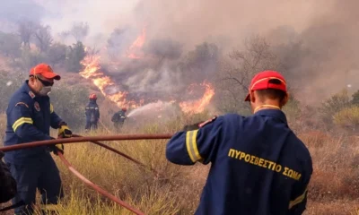 fotia-pyrosbestiki pyrosvestiki.jpg