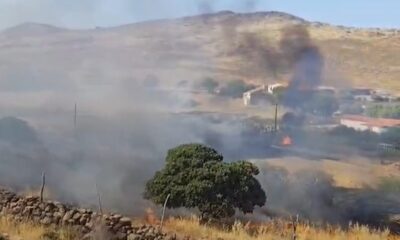 fotia-lesvos13072026 (1)