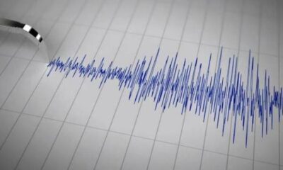 seismo