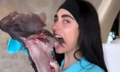 salos-me-gnosto-montelo-sti-mykono-vgike-apo-ti-thalassa-kai-archise-na-troei-omo-psari-vinteo