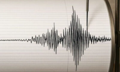 c89558e5-1773998588978-650535809-seismos.jpg