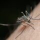 b3cd222a-pexels-jimbear-12972048-768×432
