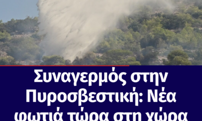 Copy of ektakto (25)