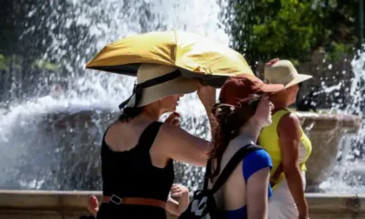 741-900×473-1.jpg.webp