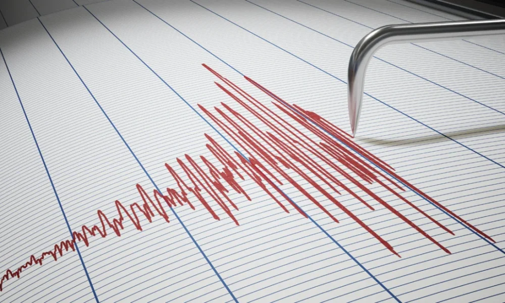 maketa-seismografos.webp