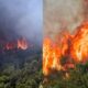 fotia-konitsa-1