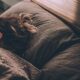 sleep