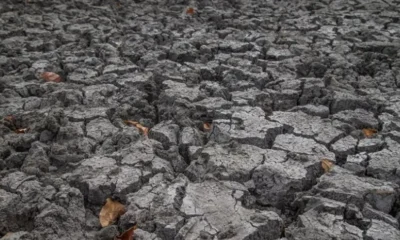 chlomiasan-oi-meteorologoi-synagermos-synagermos-apo-ton-oie-gia-to-ischyrotero-el-ninio-ton-teleftaion-1-000-eton-proeidopoiiseis-gia-fainomeno-gkotzila
