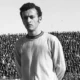 sebastopoulos