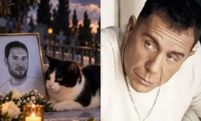 telos-o-mailo-poios-pire-ton-gato-apo-to-mnima-tou-giorgou-mazonaki-sok-molis-egine-gnosto