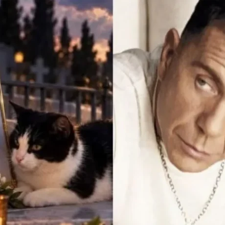 telos-o-mailo-poios-pire-ton-gato-apo-to-mnima-tou-giorgou-mazonaki-sok-molis-egine-gnosto